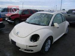 فولكسفاغن بيتل